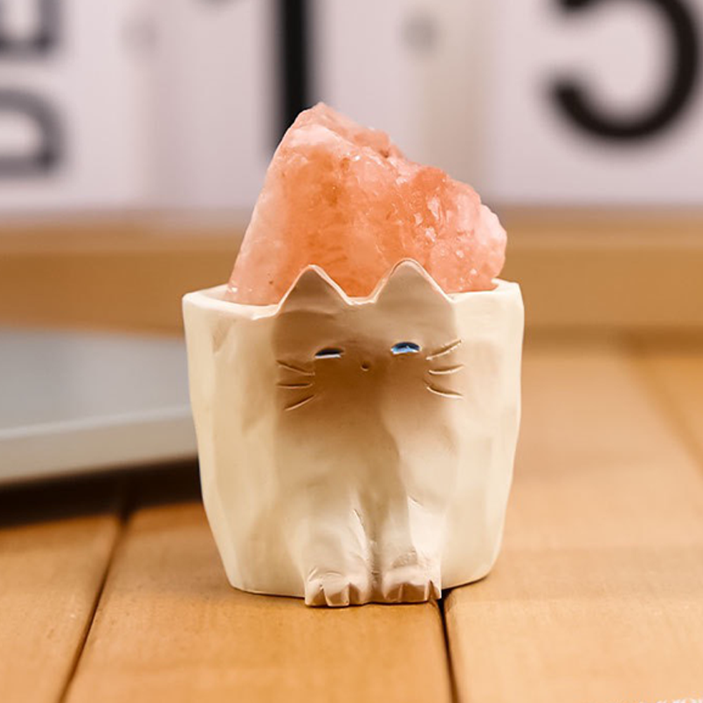 VIVAGFT™Cat Crystal Blind Box